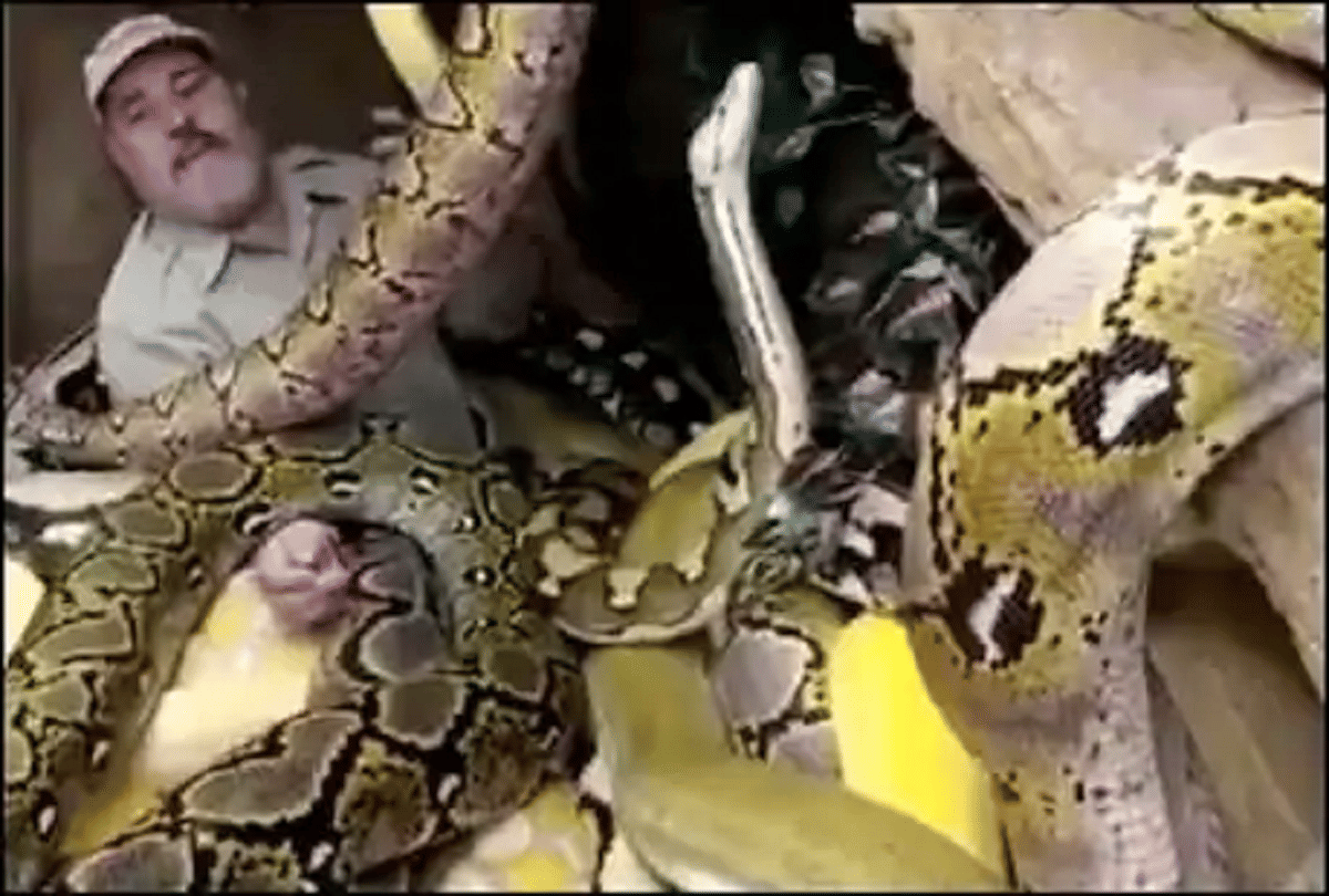 friendship with hundreds of snakes video goes viral