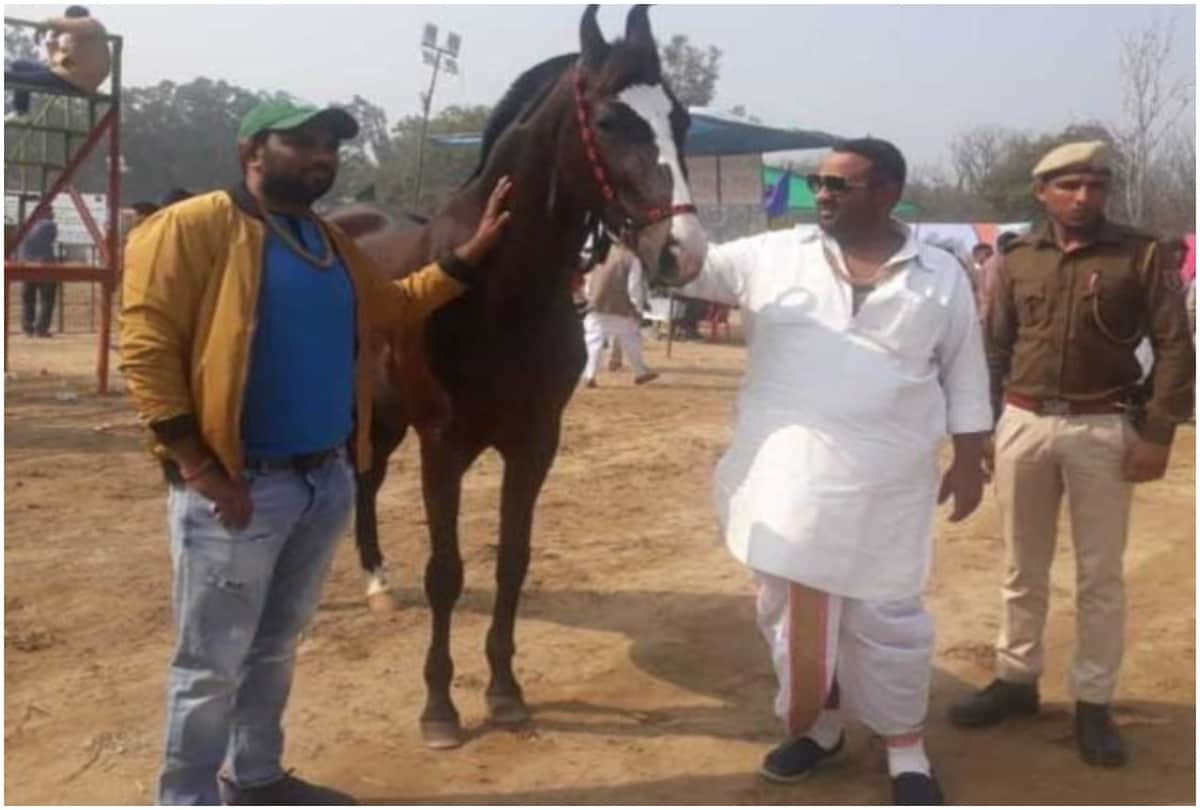Salman Khan Heart Came on Paramveer Ready But Owner Refuses To Sale The Horse