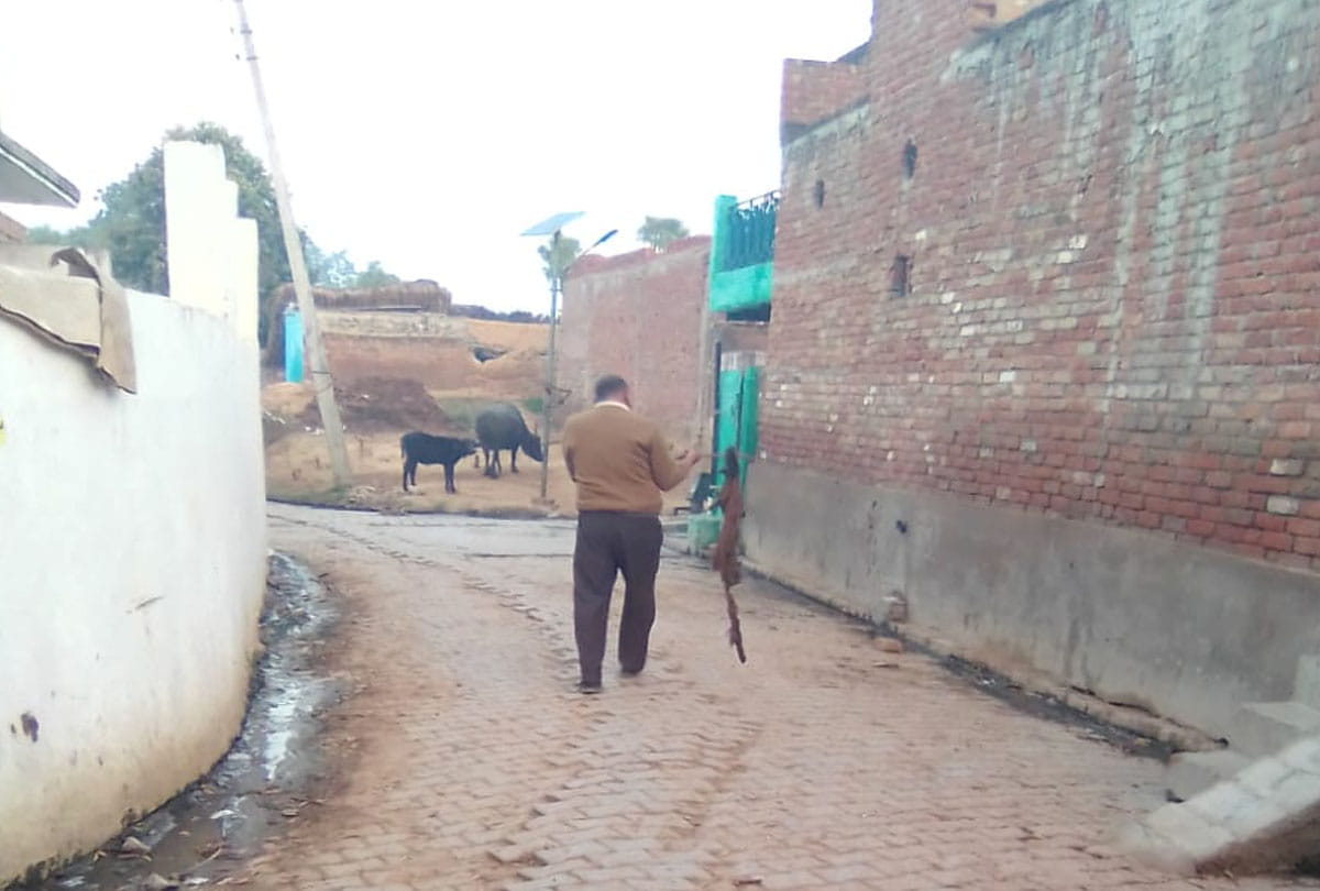 Leopard attack in Etawah up