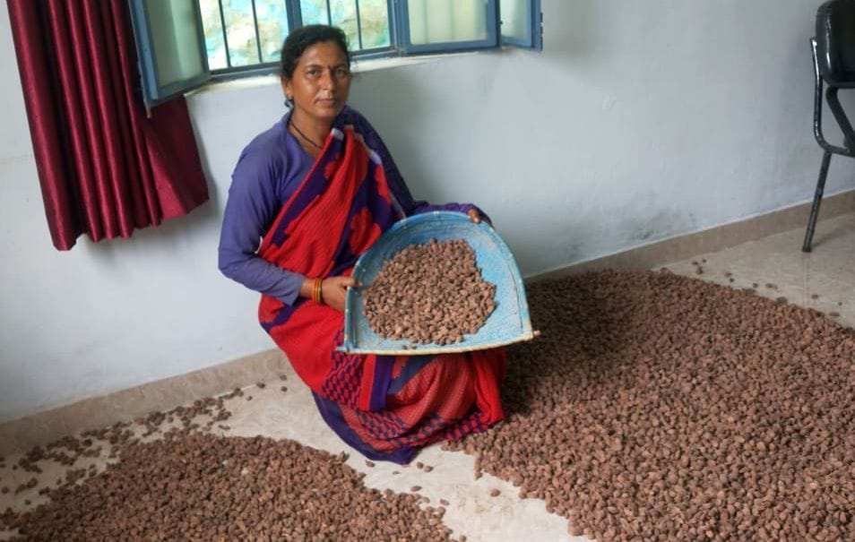 Rekha from pithoragarh found solution of crop damage from animals