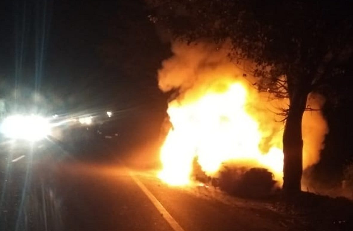 Car crashed into tree, burnt smoke