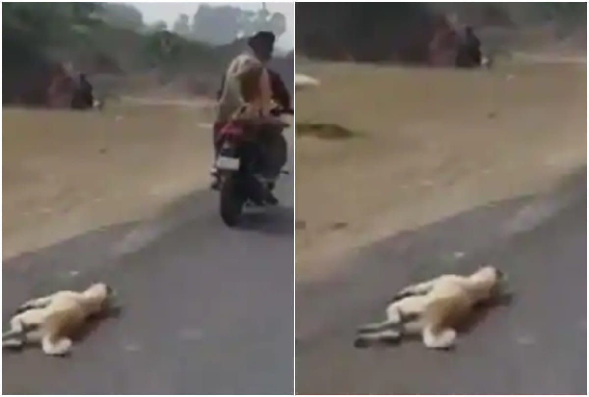 a video went viral on social media where two people tied dog with a rope and dragged one arrested