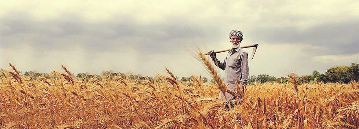 farmers will be alert during weather changing