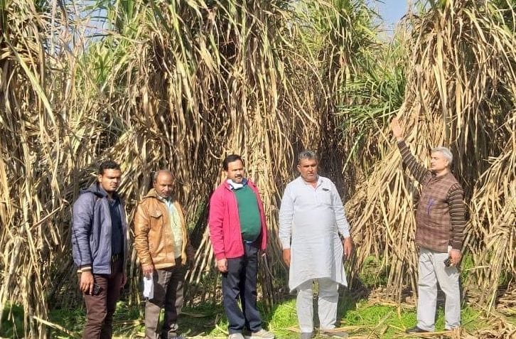 Decreasing production in fields dependent on canal irrigation