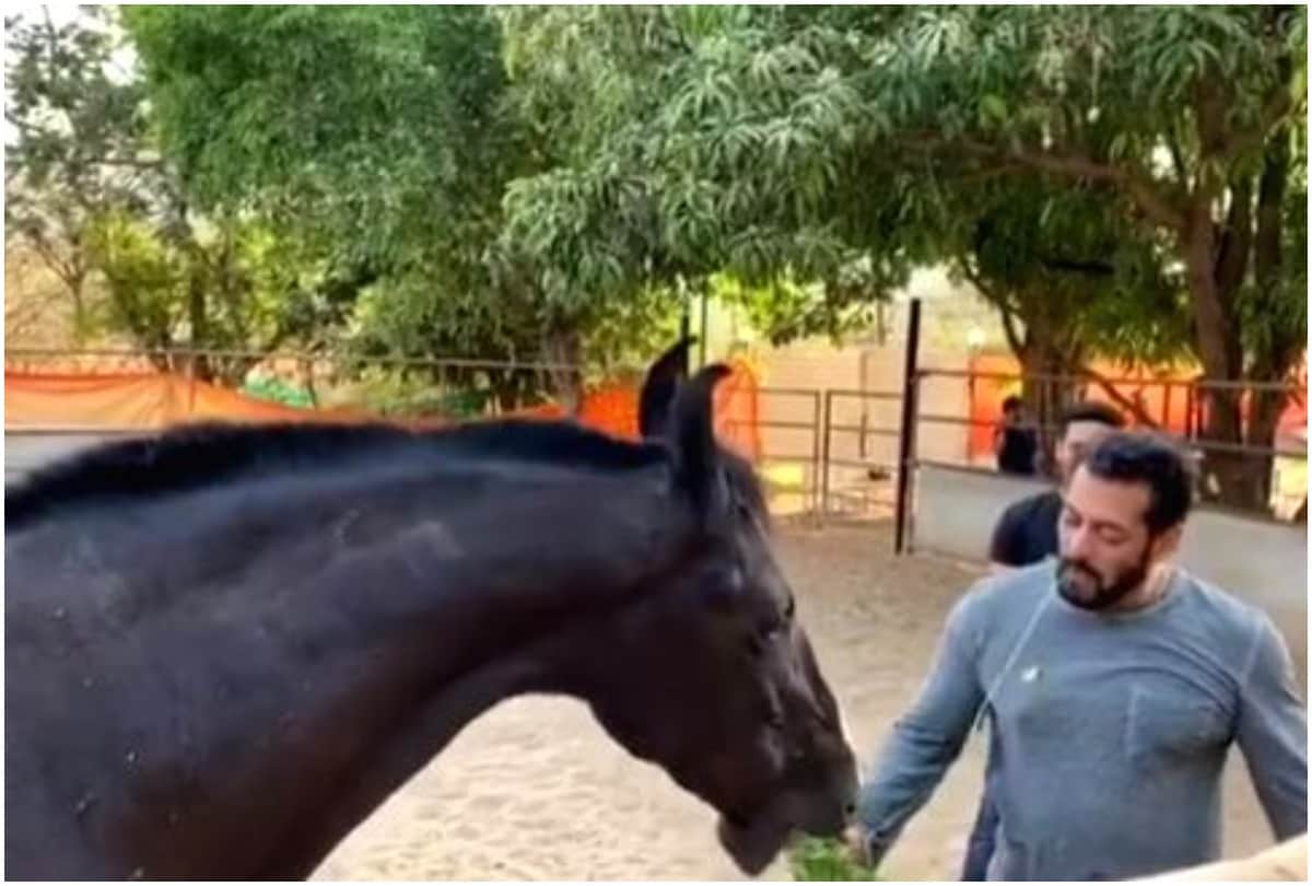 Salman Khan Heart Came on Paramveer Ready But Owner Refuses To Sale The Horse