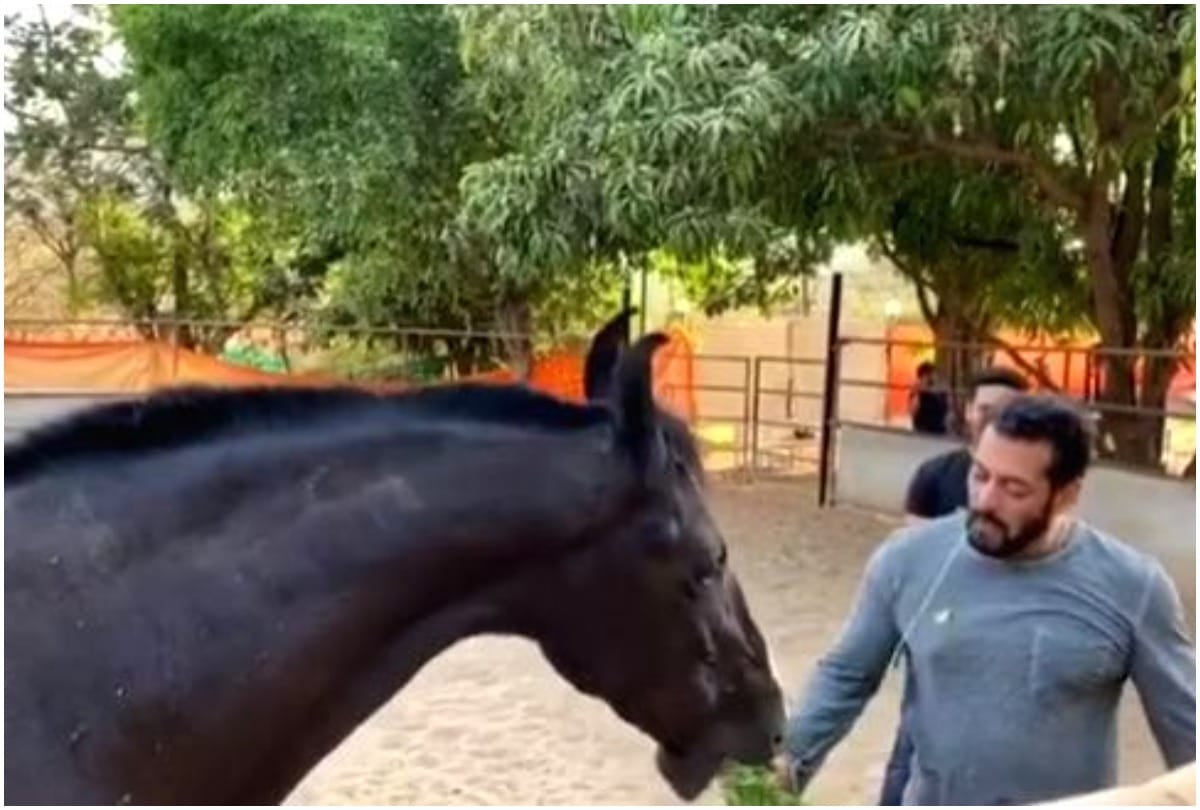 Salman Khan goes on safari with bodyguard Shera in rajasthan