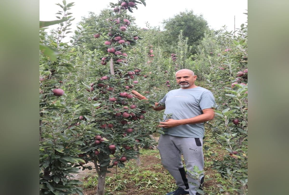 himachal developed its first Best quality apple variety, Apple apps patented in the name of Bagwan Prem Singh Chauhan