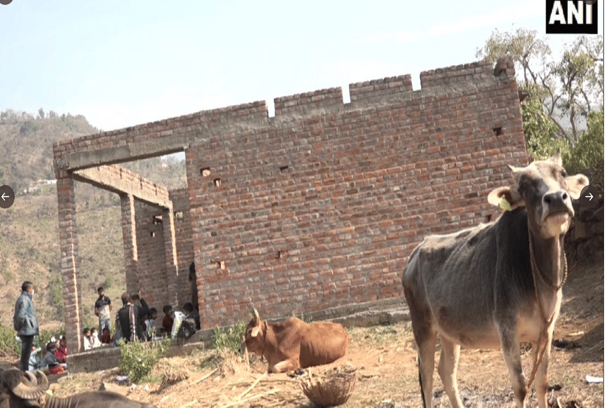 jammu-kashmir : Everyday not only children but animals also come to this school, see photos