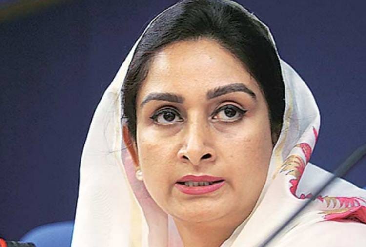 Reactions of Bhagwant Mann Harsimrat Kaur Badal Ashwani Sharma and Sukhbir Singh Badal on Punjab Municipal Election Result