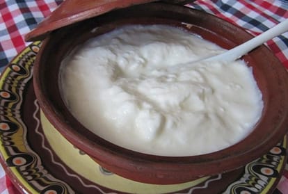 Sour Curd Recipes:इन जायकेदार पकवानों को बनाने में करें खट्टे दही का