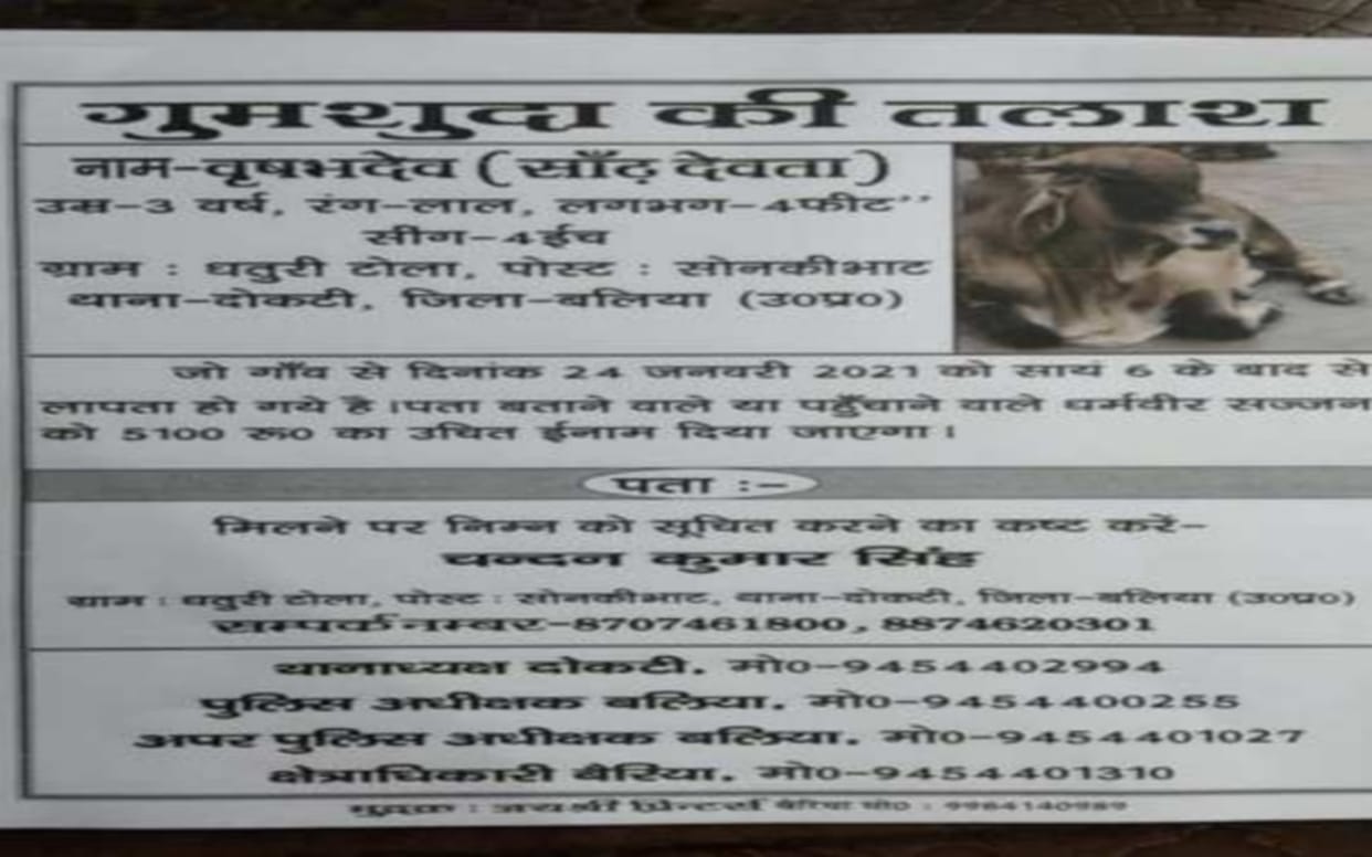 Missing report of bull disappearance filed in Ballia police station