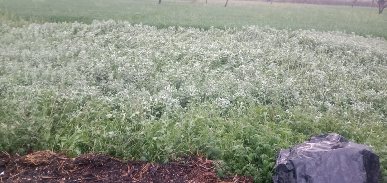 Lightning also fell with rain, hail