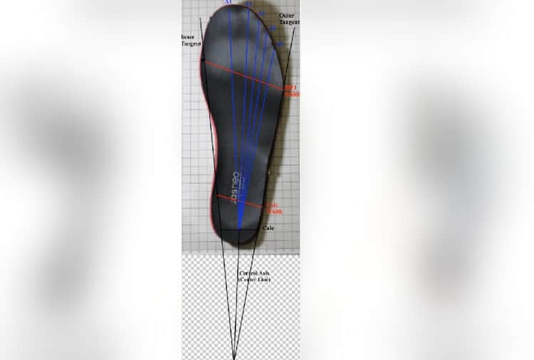 Scientist of Panjab university conducted research on footprint