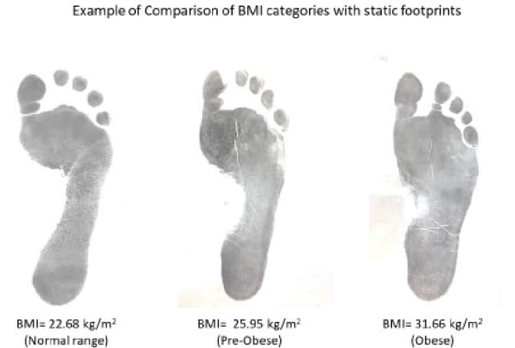 Scientist of Panjab university conducted research on footprint