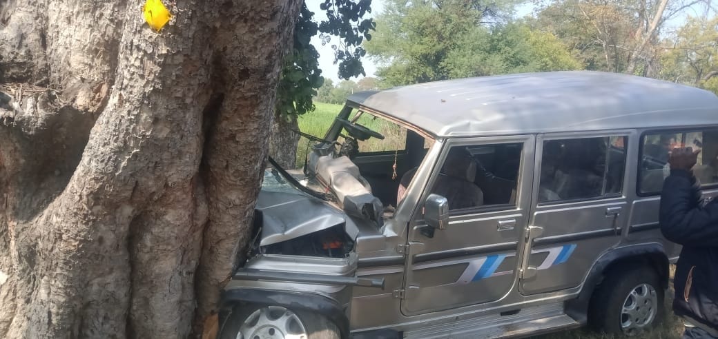car crashed to tree, nine injured