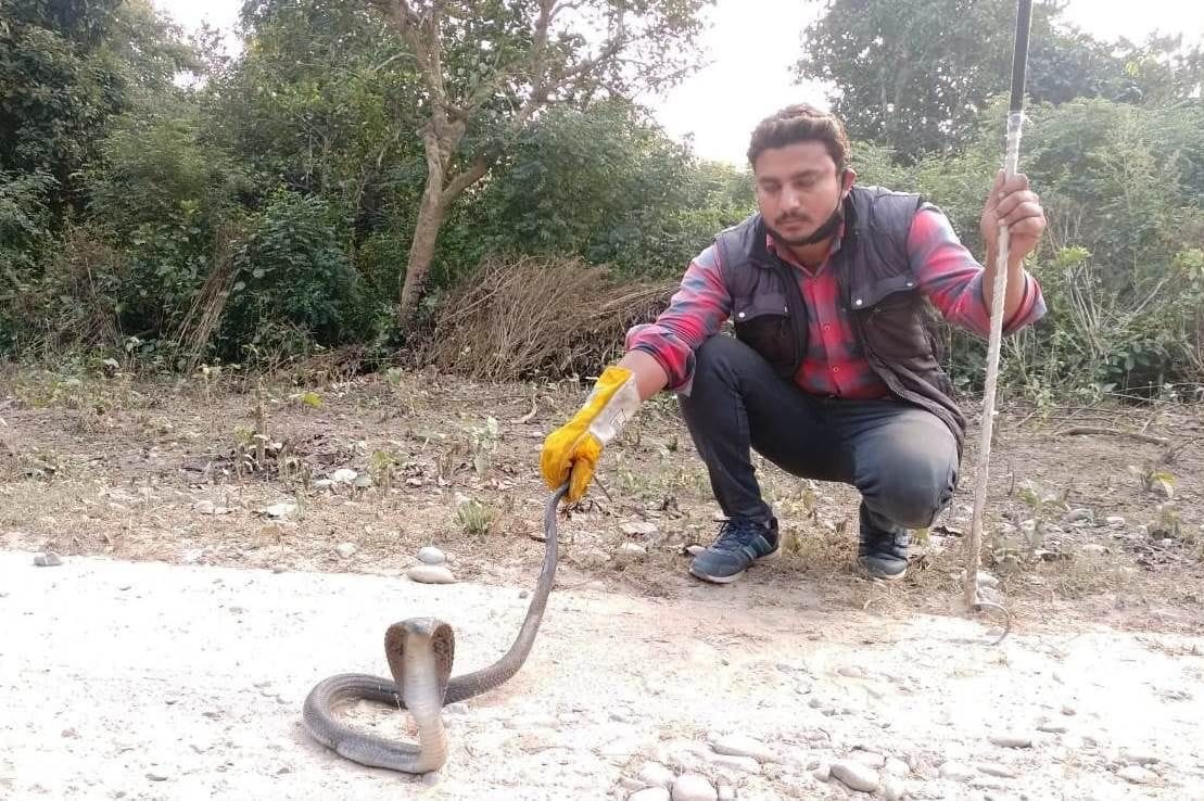 Rescue more than 150 animals in Kalagarh