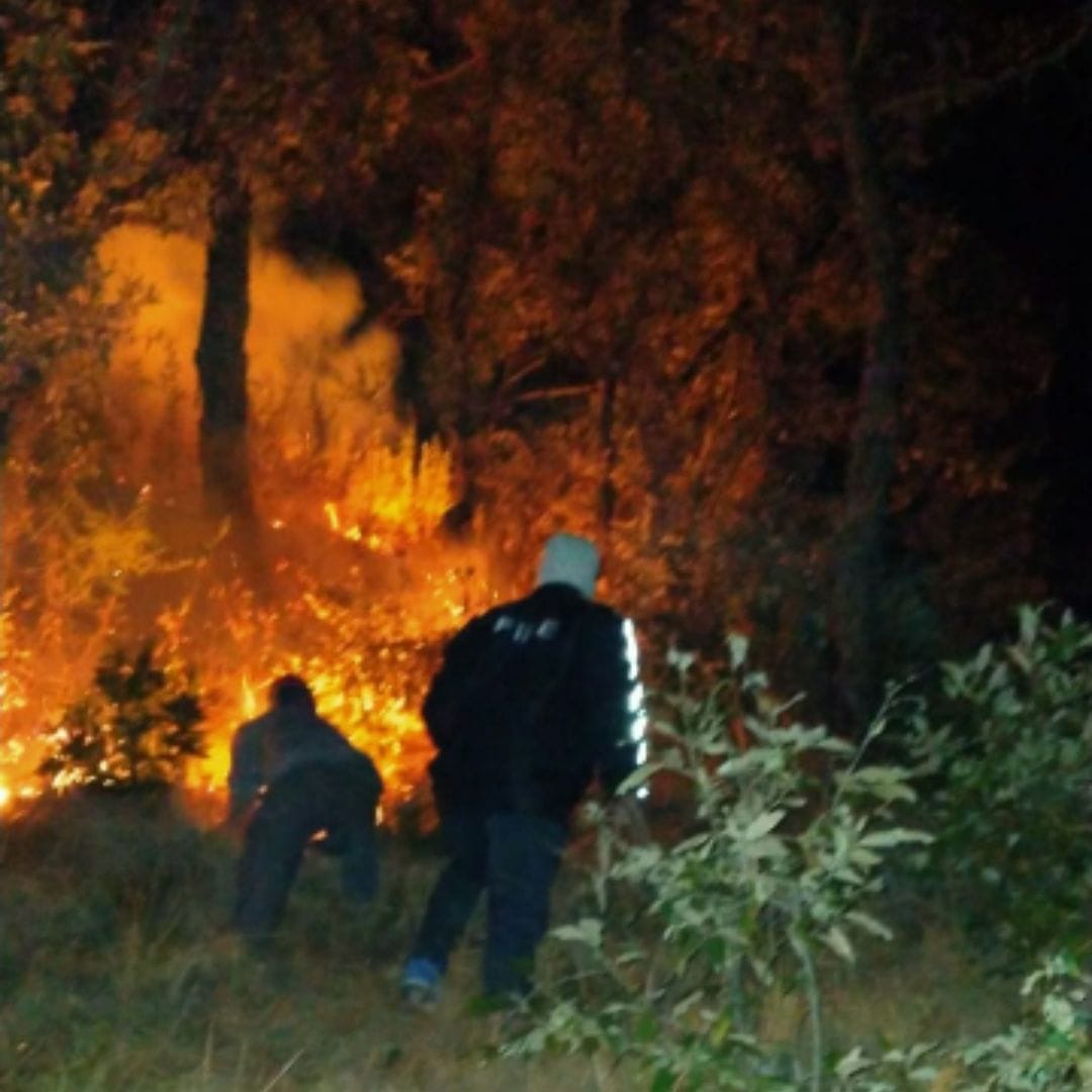Fire in the forest of Nathuvakhan
