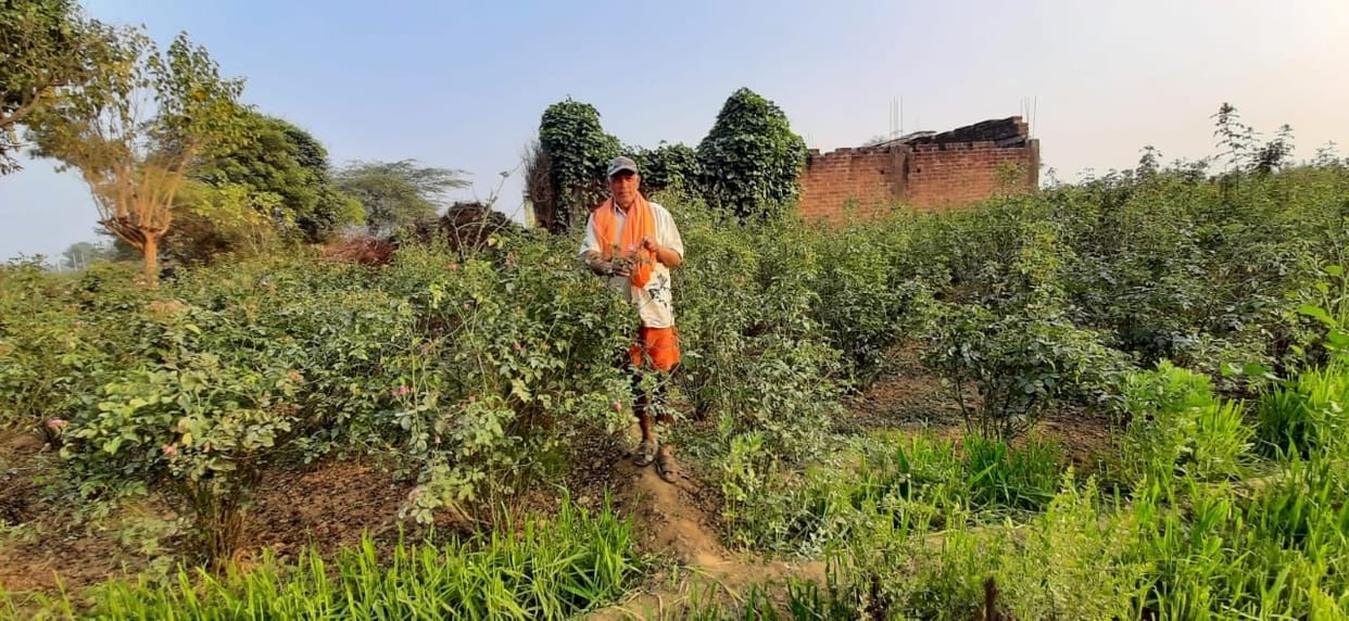 unnat prajaatiyon ke sugandhit paudhon se maalaamaal honge kisaan