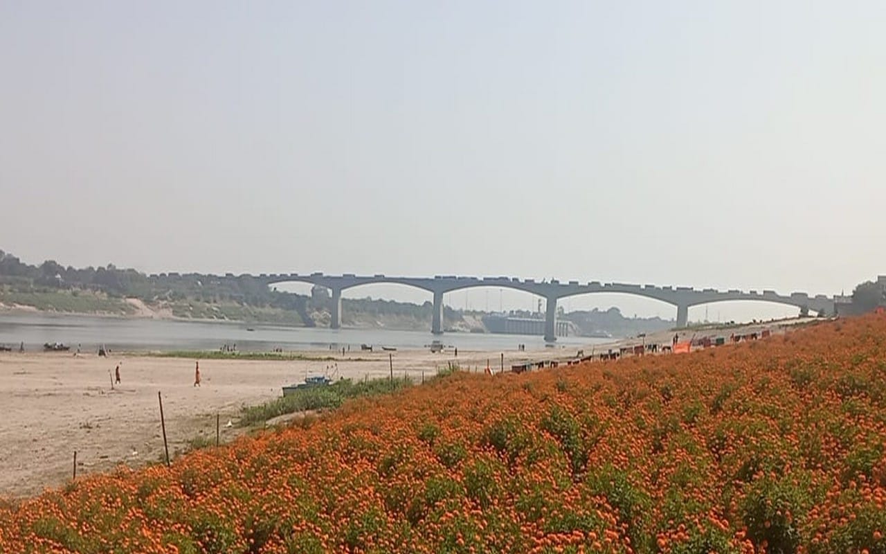 Floriculture started on the banks of Ganga in Varanasi