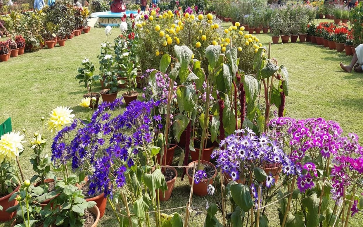 This time garden stuff, fruit and flower exhibition will be special in Varanasi
