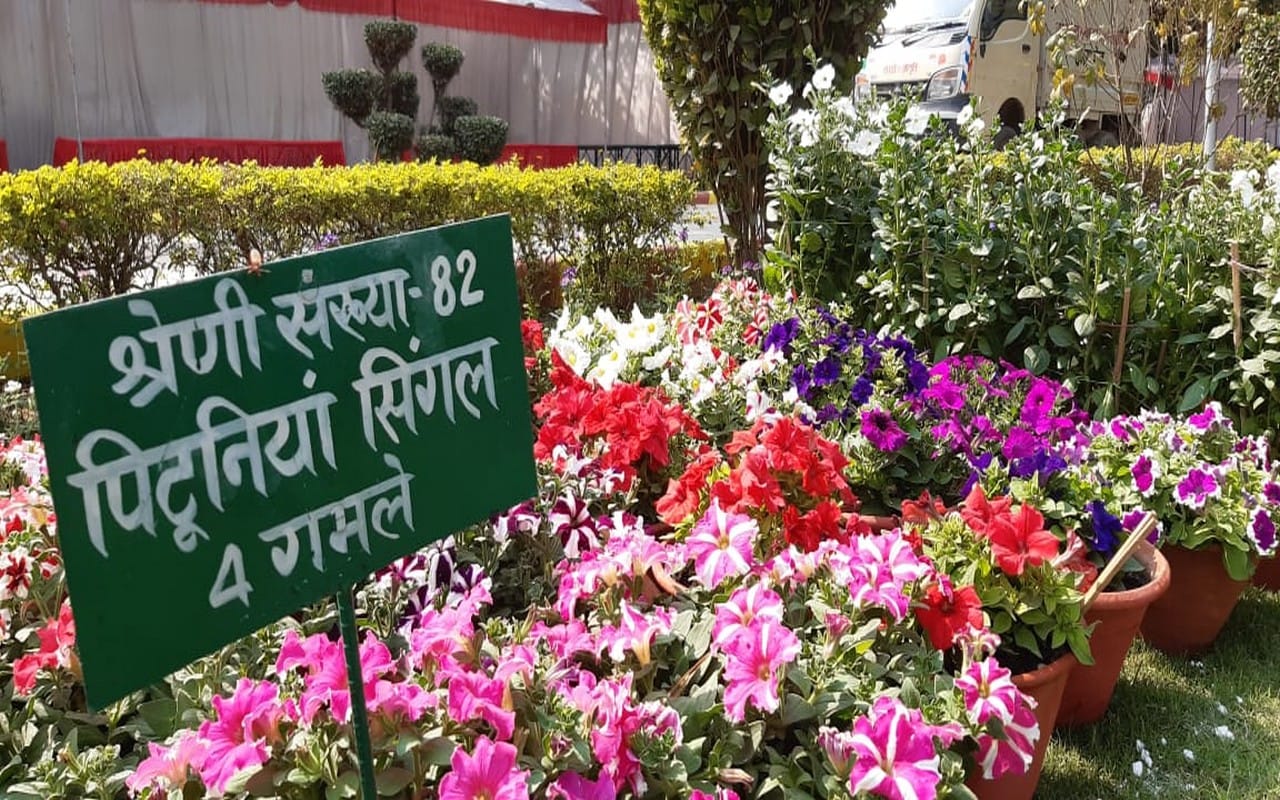 This time garden stuff, fruit and flower exhibition will be special in Varanasi