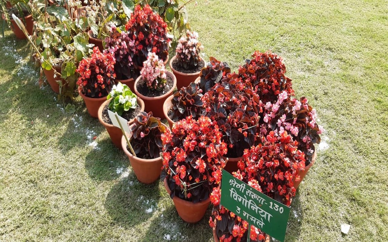 This time garden stuff, fruit and flower exhibition will be special in Varanasi