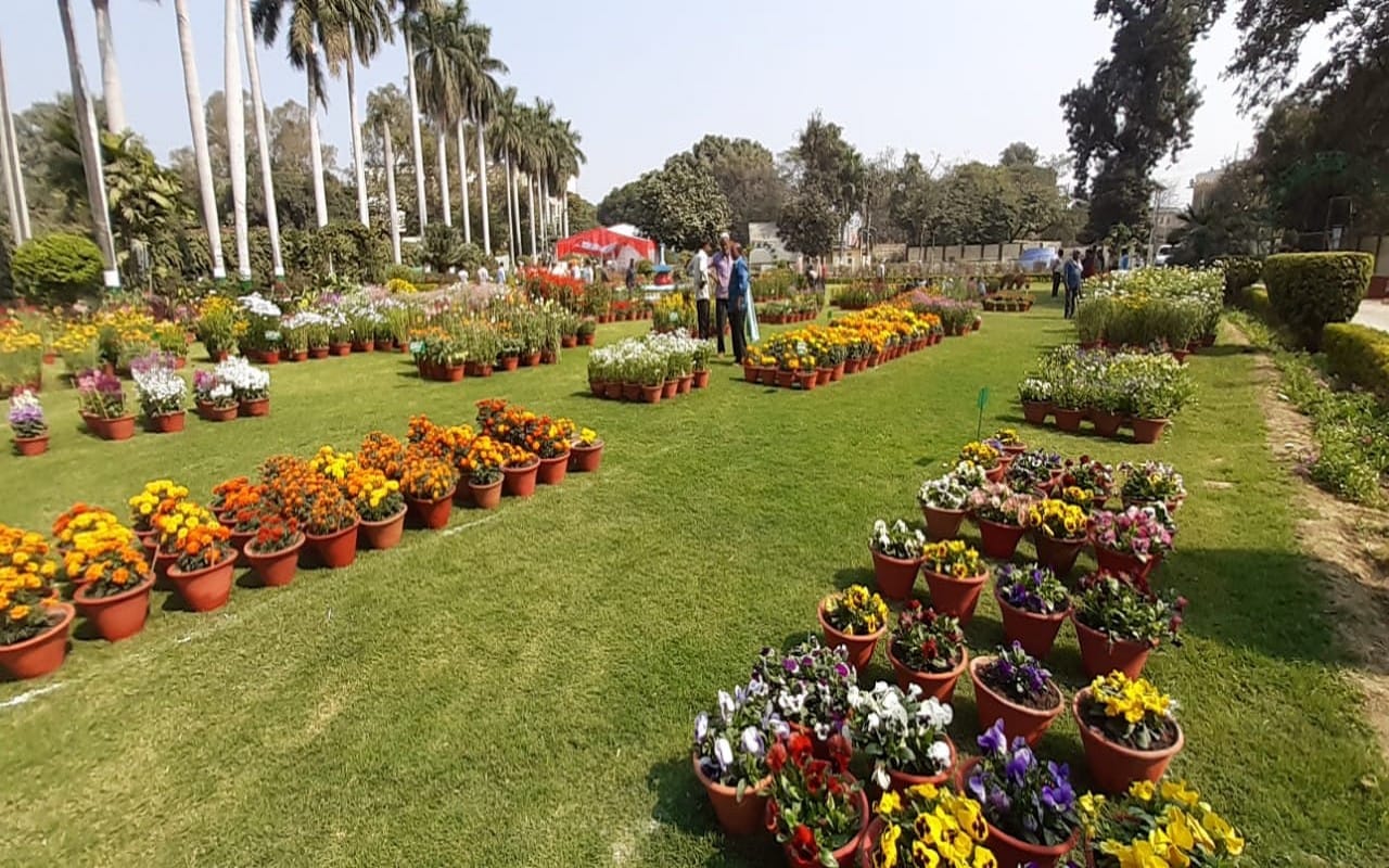 This time garden stuff, fruit and flower exhibition will be special in Varanasi