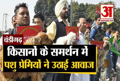 Pet lovers protest against farm laws in chandigarh