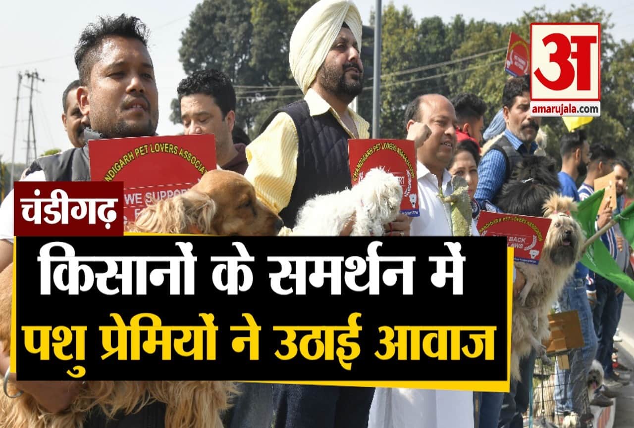 चंडीगढ़ में पेट लवर्स ने किया प्रदर्शन।