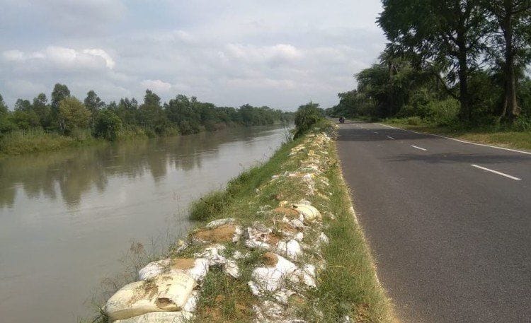 Exercise: Kanwar track would be ready in six months, cutting of trees will start