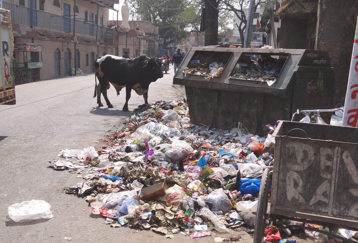 Safai employees performed in a semi-dormant manner