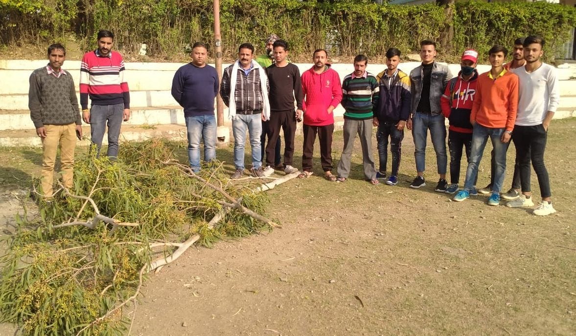 Shabby tree inviting accidents in Chuwadi