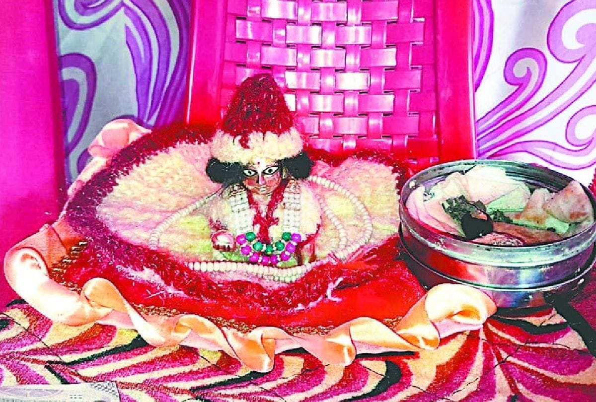 vrindavan kumbh mela saints reaches with thakur ji in mathura