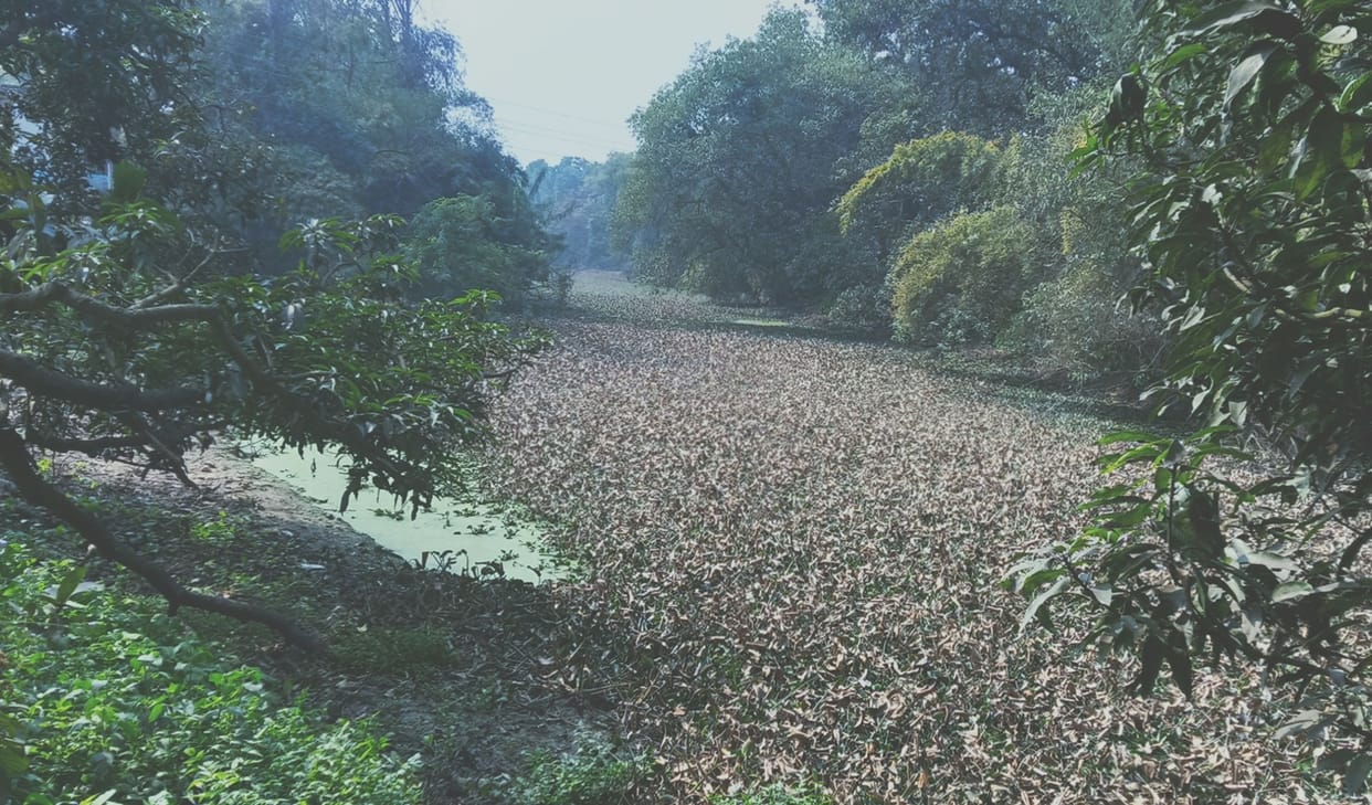 ayodhya