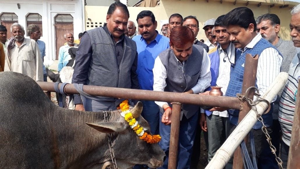 Hathras: Emphasis placed on indigenous cattle breeding in Animal Health Fair