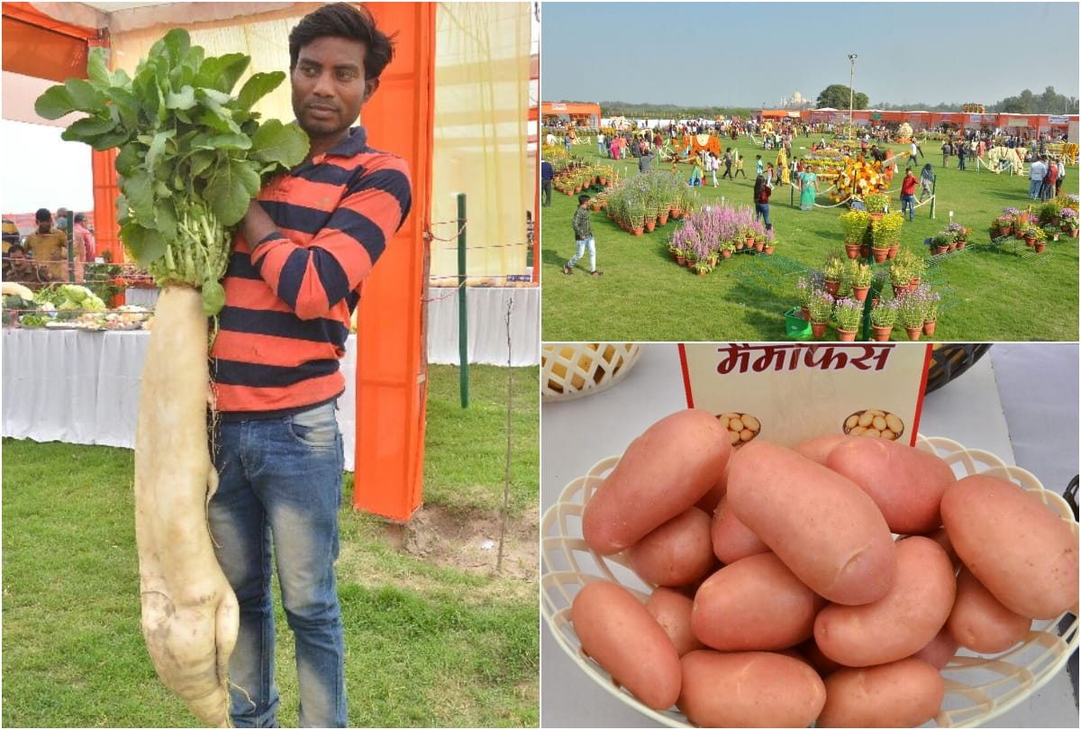 Vegetable and Flower Exhibition in Taj View Gardens Agra