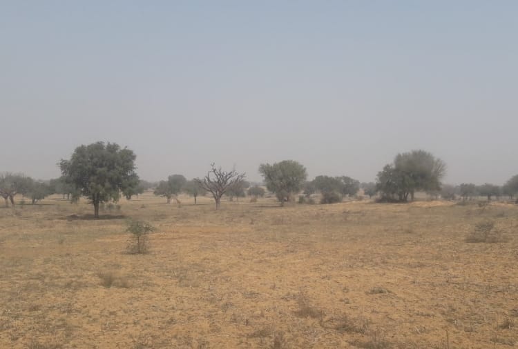 Ground Report : People of this village only wants canal water for their fields