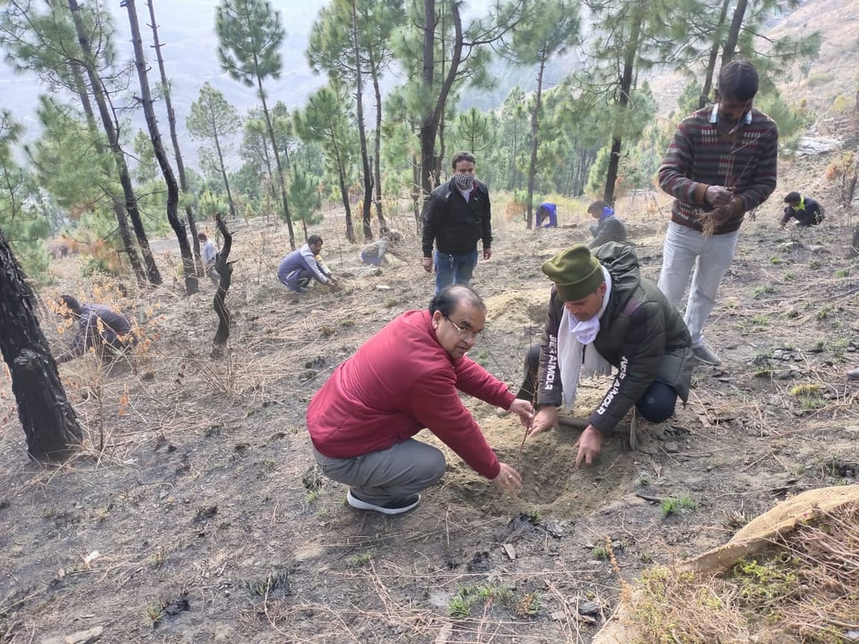 Planting two thousand rosemary and peach plants in Oriyari and Ghaneli
