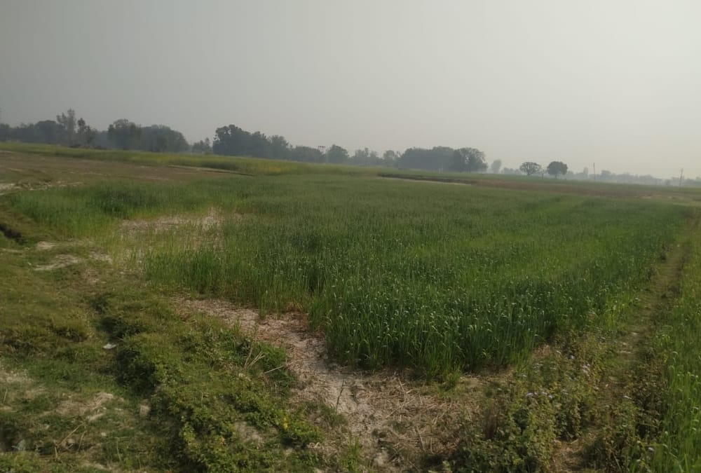 Cabinet minister Smriti Irani will be building her house in a village in Amethi.