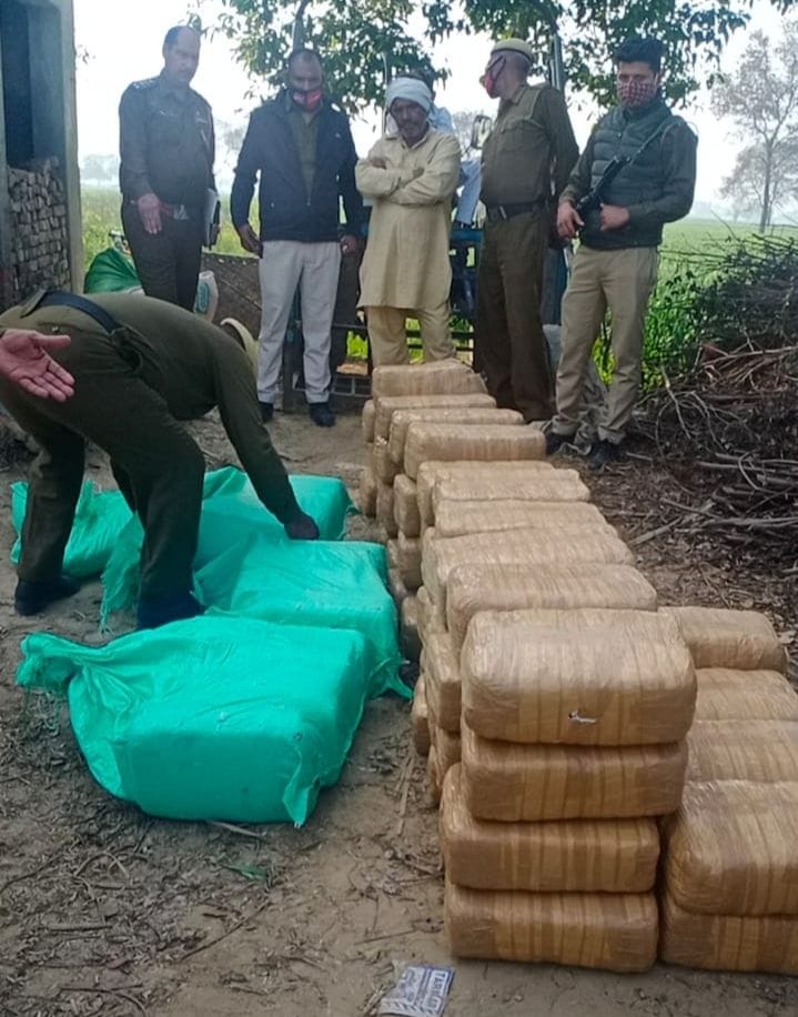 three quintal hemp found in husk
