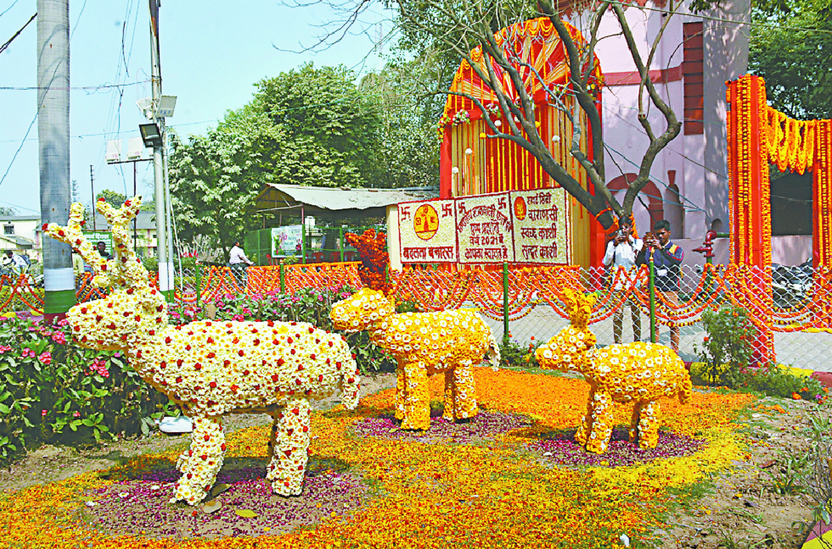 company garden Fruit Flower Vegetable Exhibition artefacts of flowers in varanasi