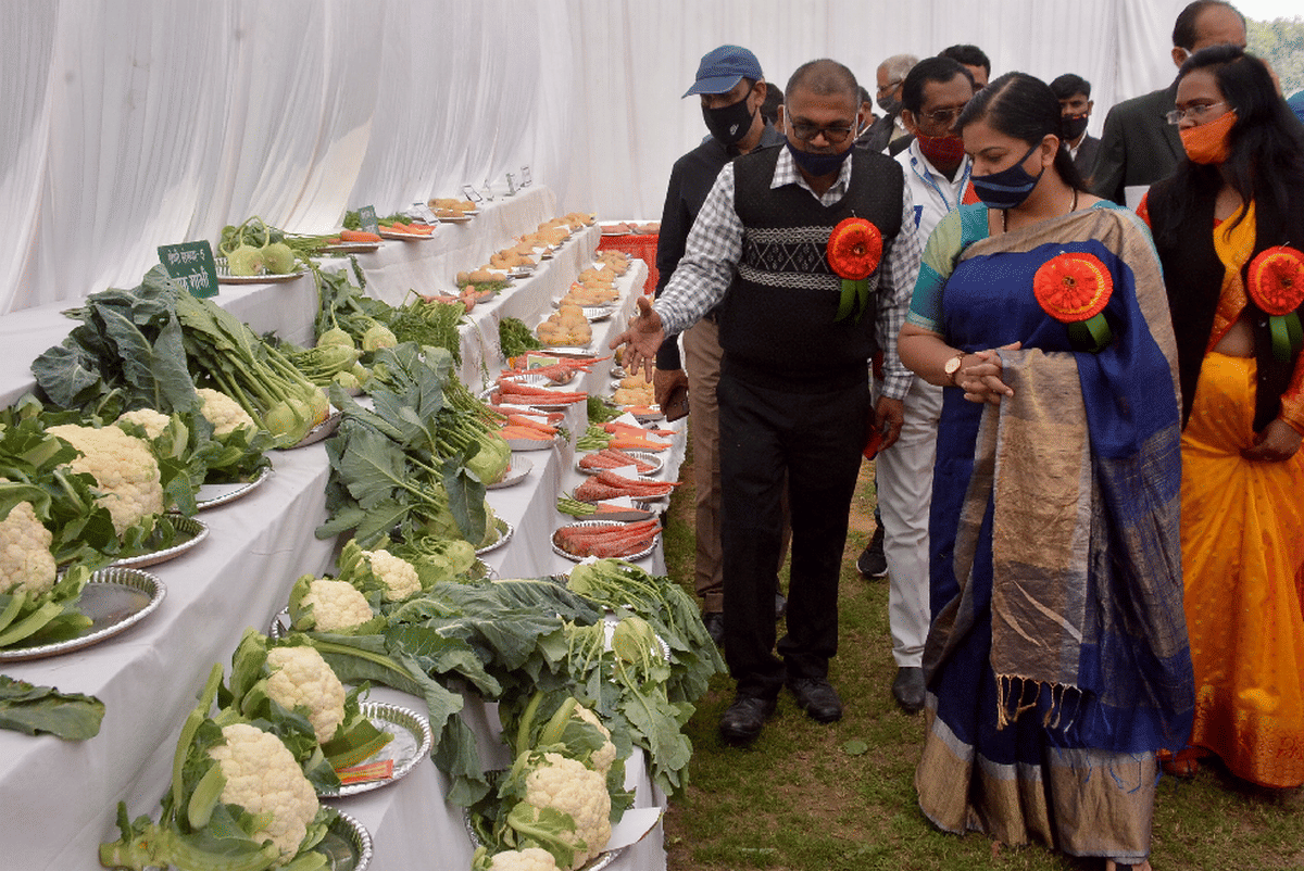 company garden Fruit Flower Vegetable Exhibition artefacts of flowers in varanasi