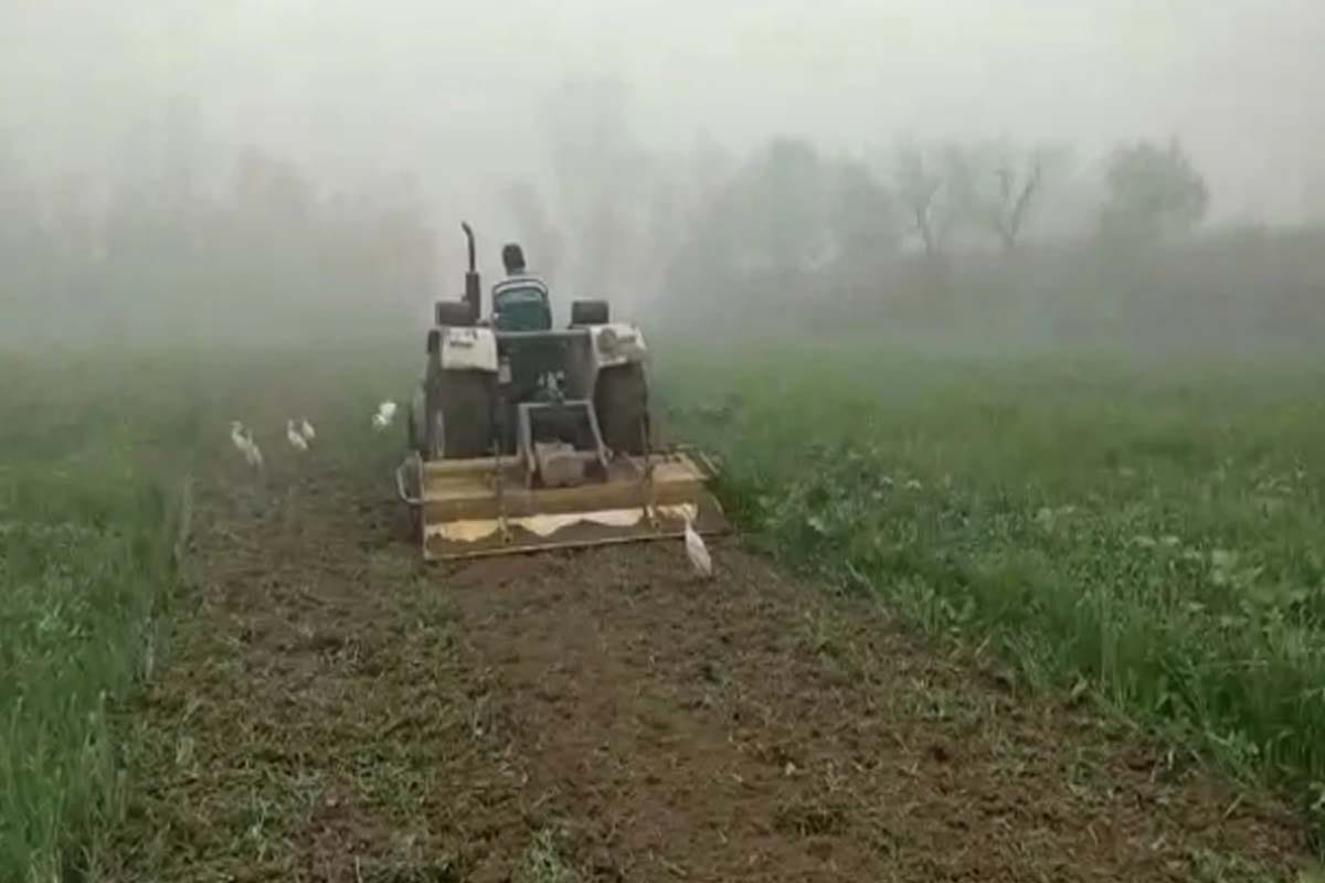 Destroyed wheat crop for Gorakhpur Link Expressway