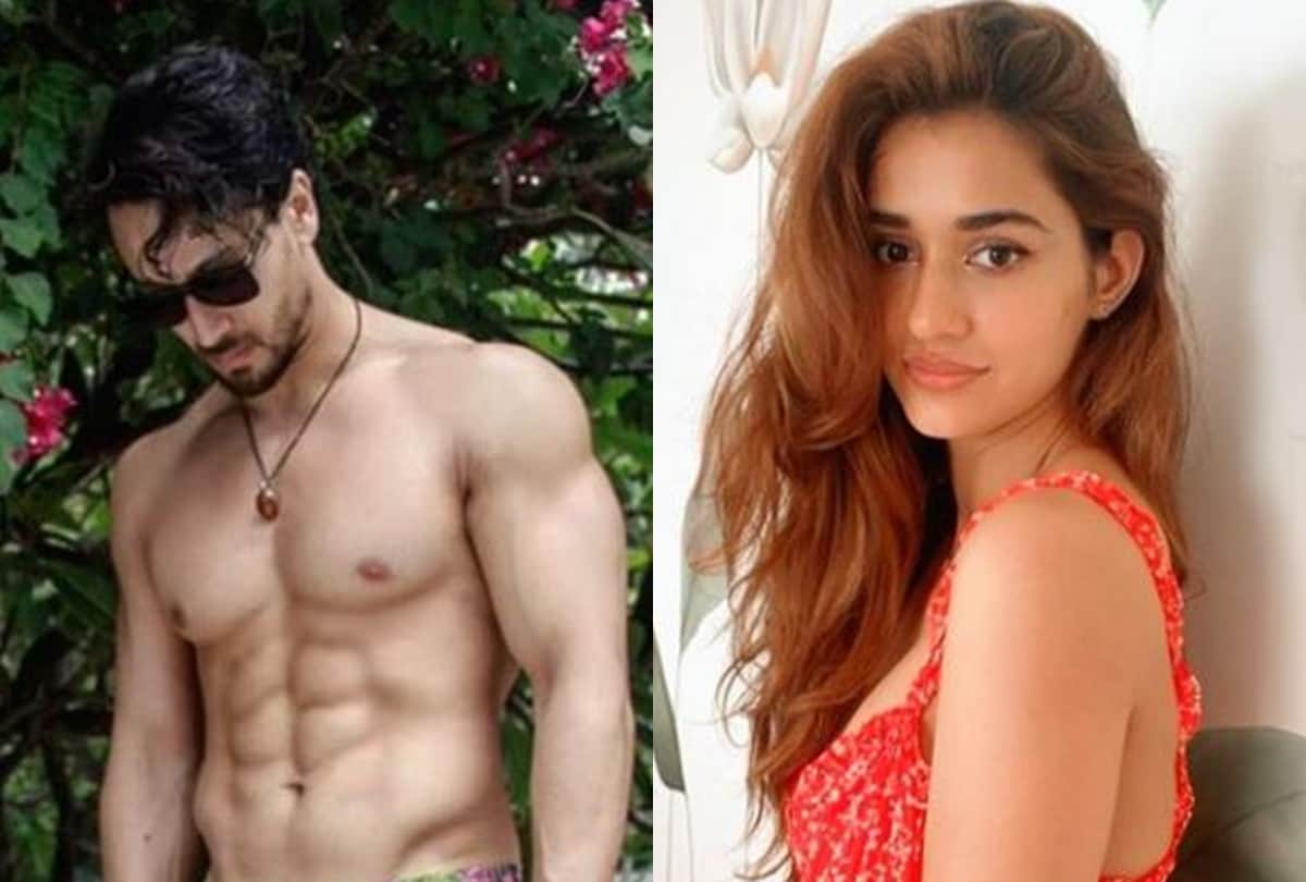 Disha Patani Bro zoned  Tiger Shroff  after catching a glimpse of his pink shorts, fans offer sympathies