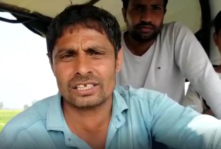Haryana Farmer destroys wheat crop after Rakesh tikait Call