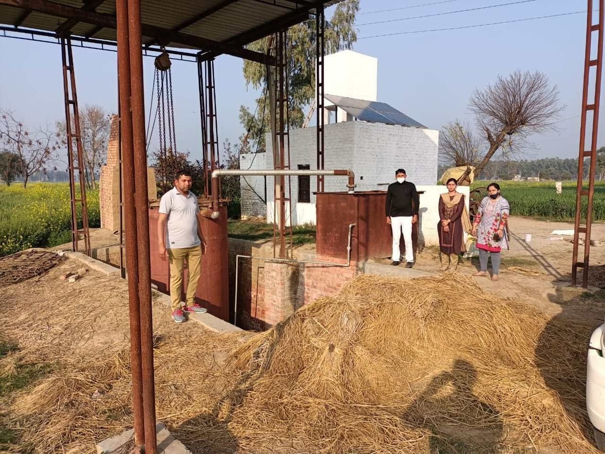 Five friends fostering their lives by cultivating mentha