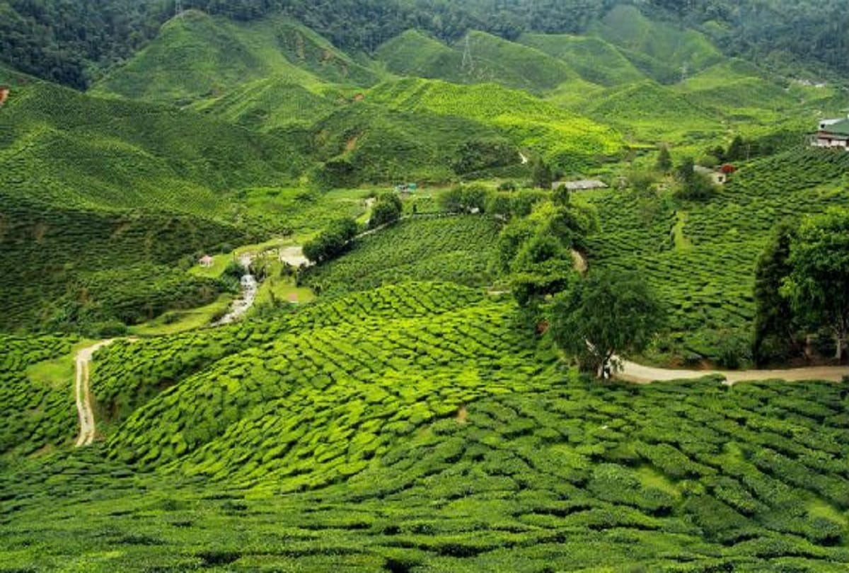 Best and beautiful places in India to visit