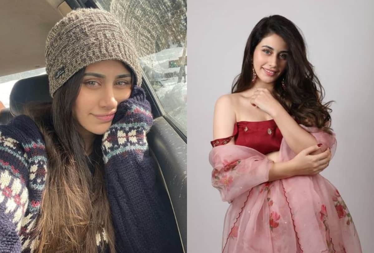 Warina Hussain Birthday Special: know some interesting facts about Loveyatri actress