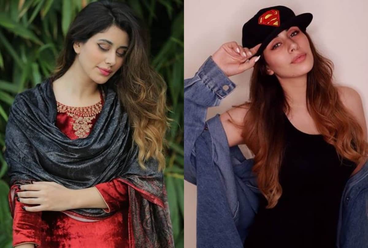 Warina Hussain Birthday Special: know some interesting facts about Loveyatri actress