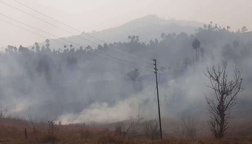 Forest Fire in Pati Champawat